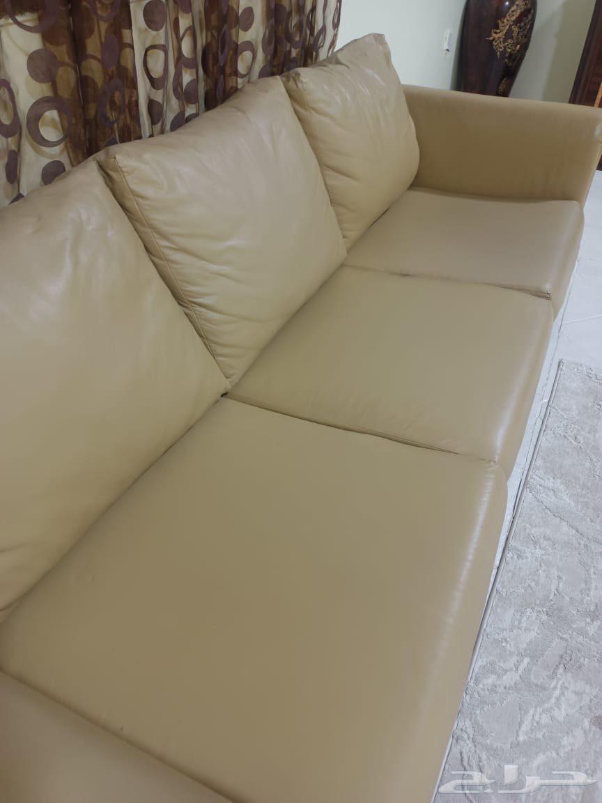 Leather sofa that converts into a bed64412360341379111