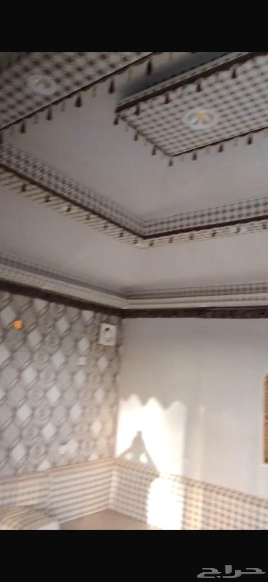 خيمة مجلس ملكي سكاكا الجوف64412103196929112