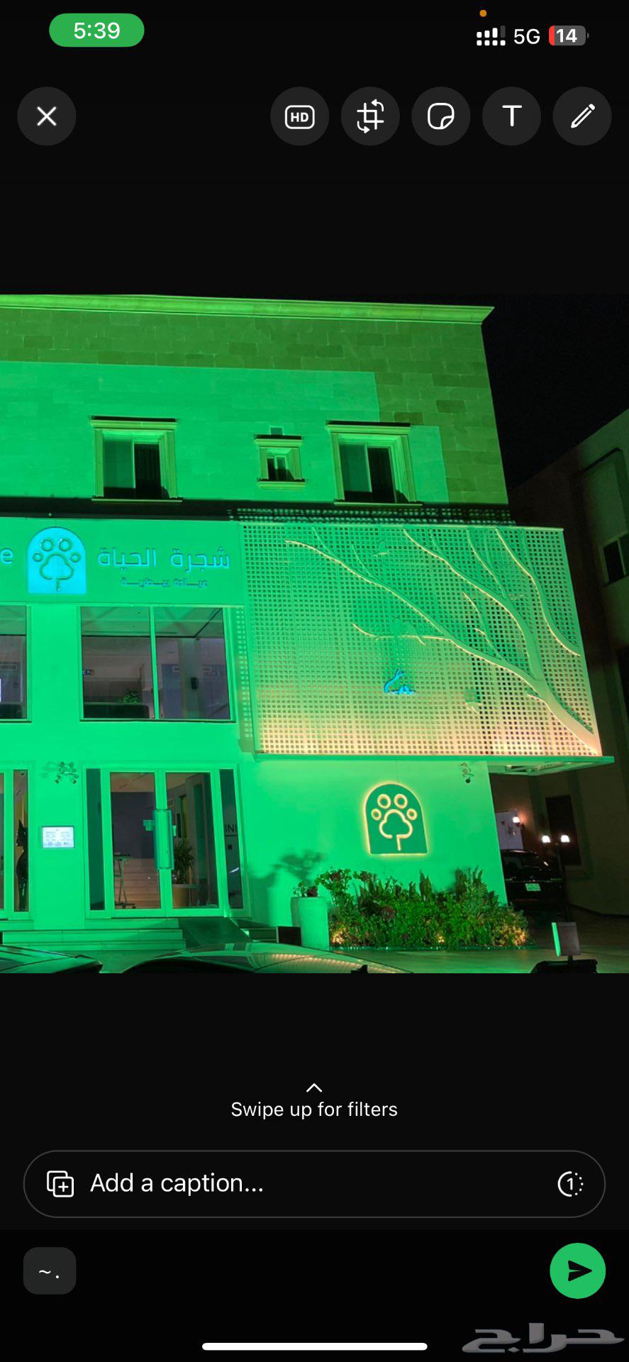 كشافات اليوم الوطني64409560761217113