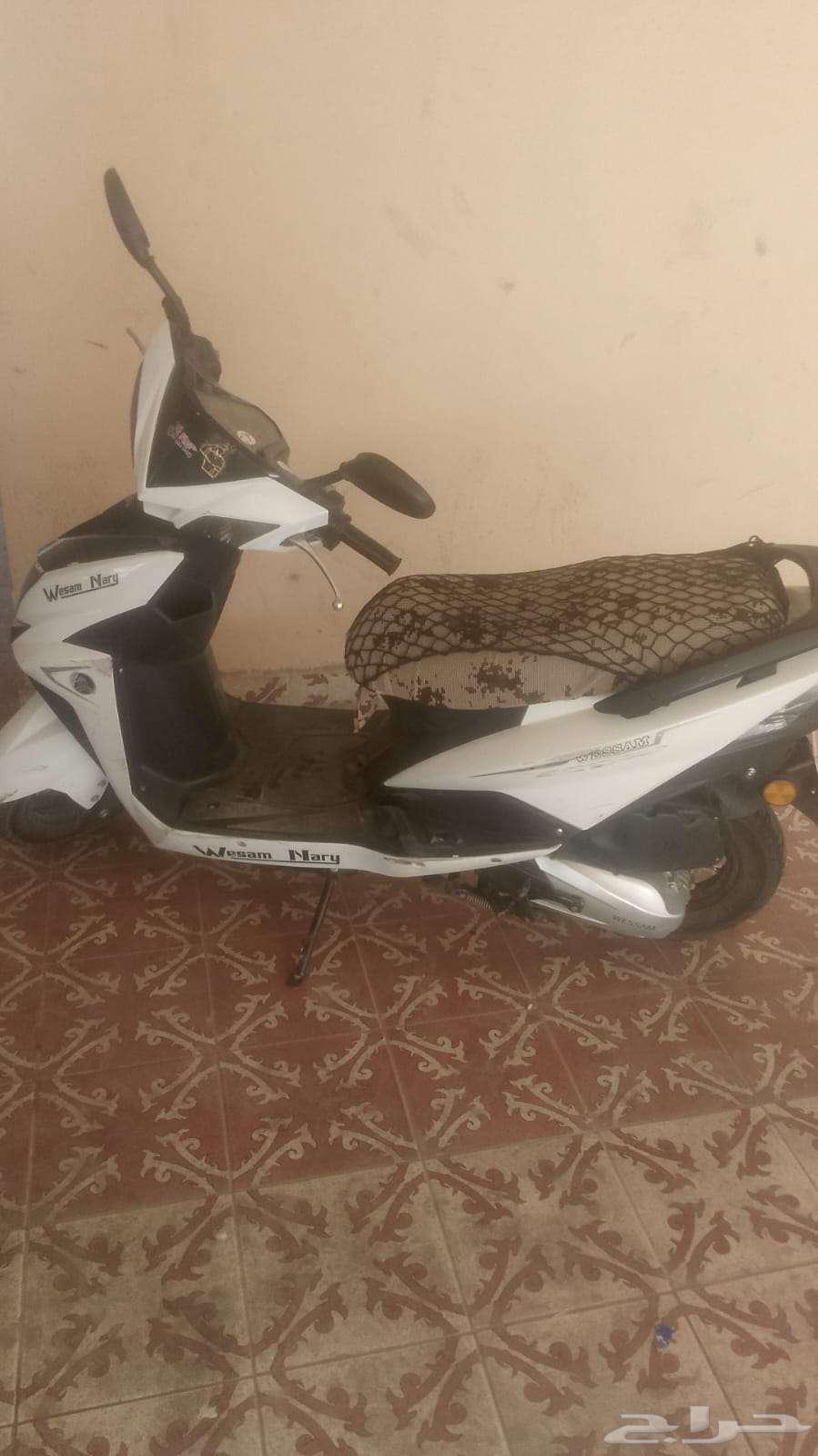 دباب الوسام الناري 202464568537051394113