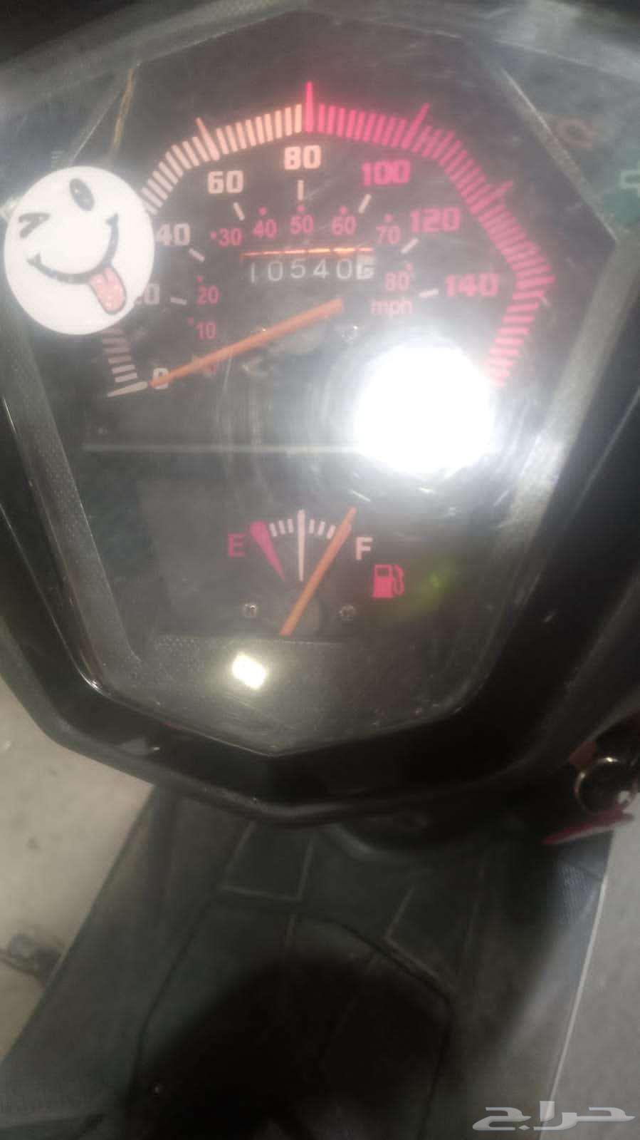 دباب الوسام الناري 202464568537051394112