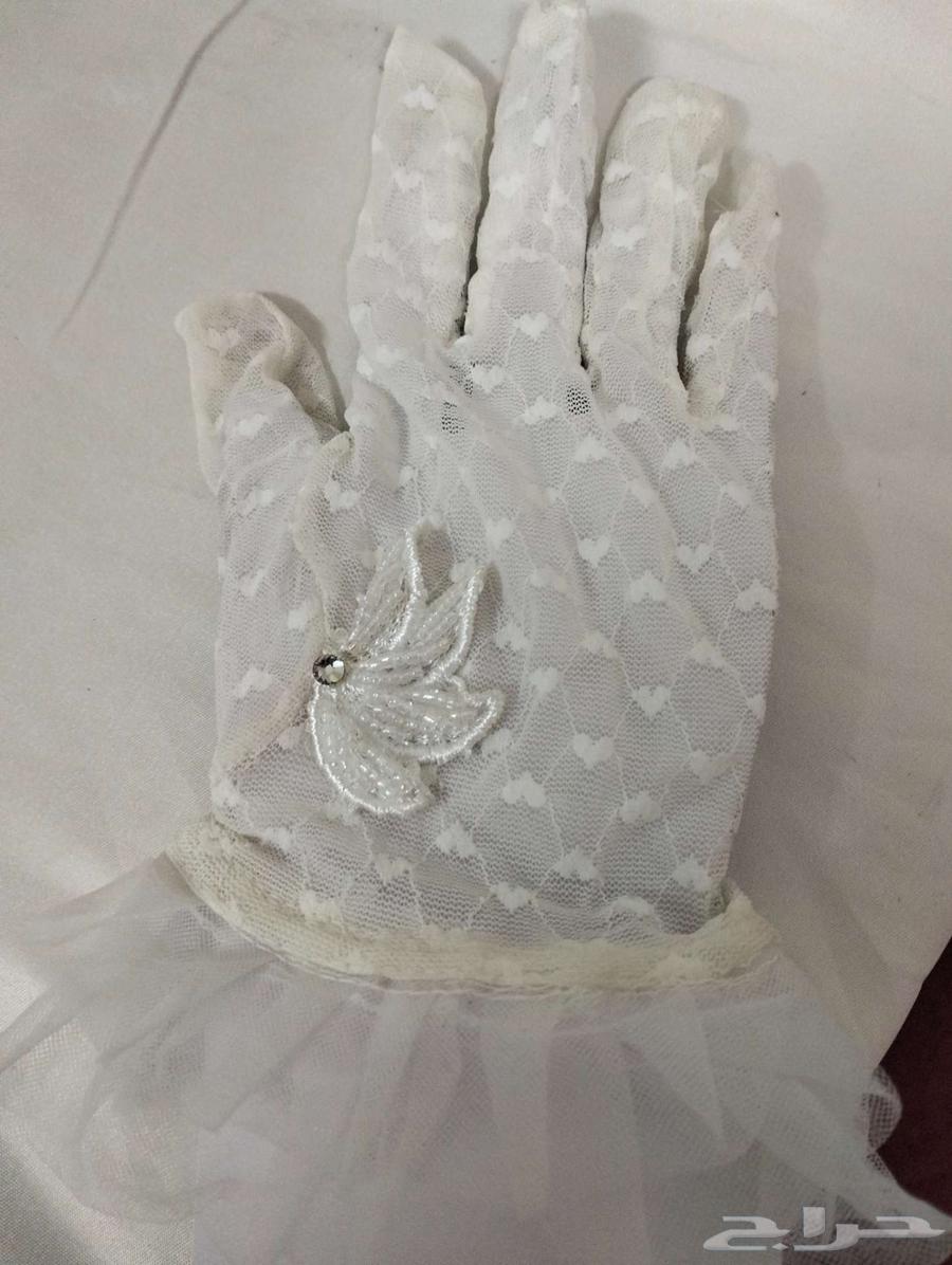 فوق تموينات هدى شارع محمد بن سحمي حي الأمير فواز الشمالي64406137926786110