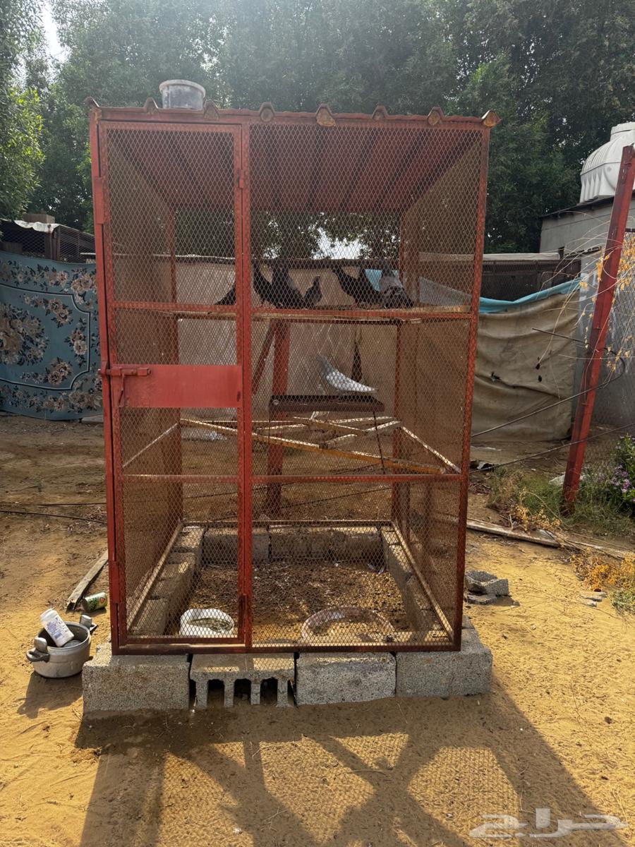 أقفاص للبيع64410073822851111