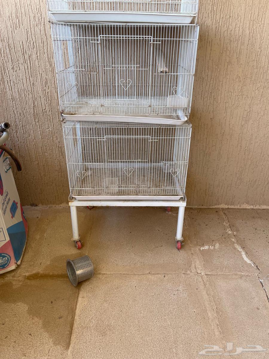 Cages Base 60164410260801666111