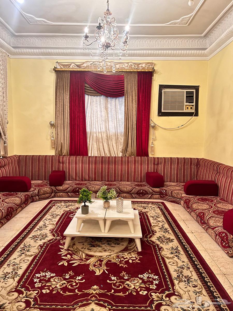 Complete majlis for sale with carpet and curtain64456886192513110