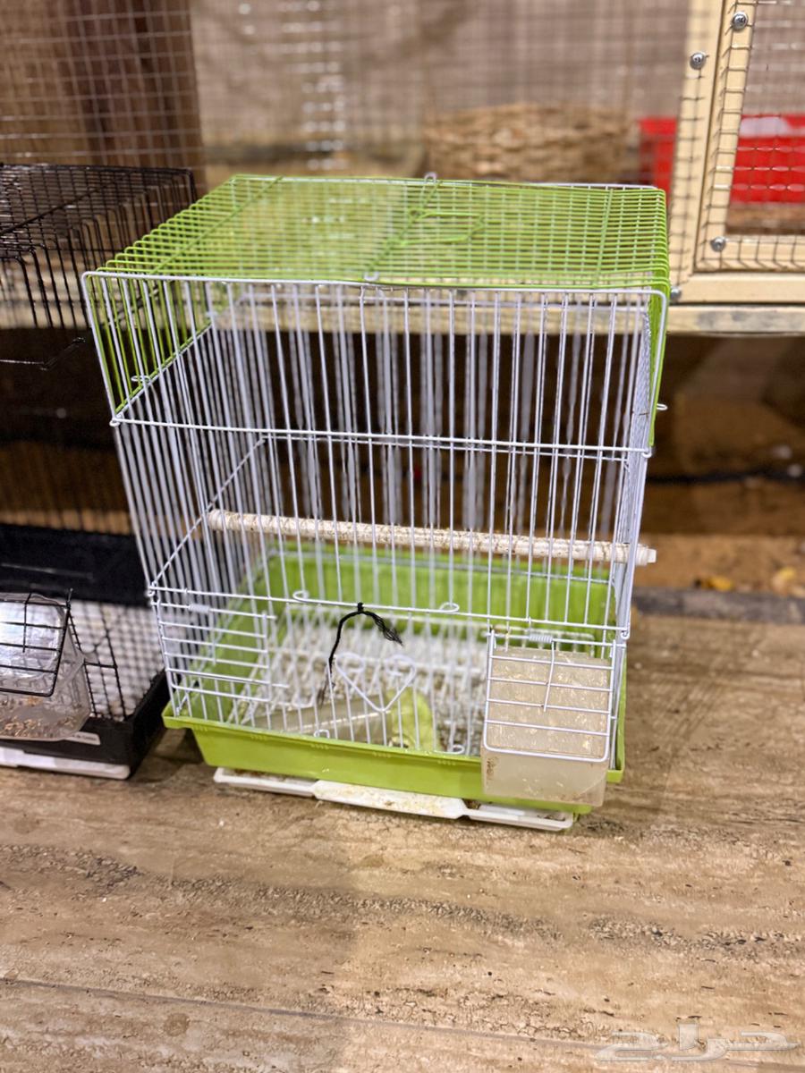 اقفاص للبيع64411473682819111