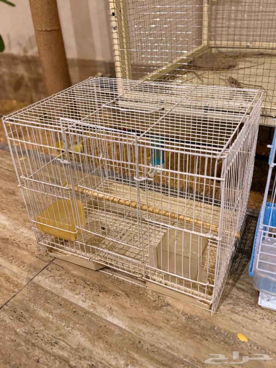 اقفاص للبيع64411473682819112