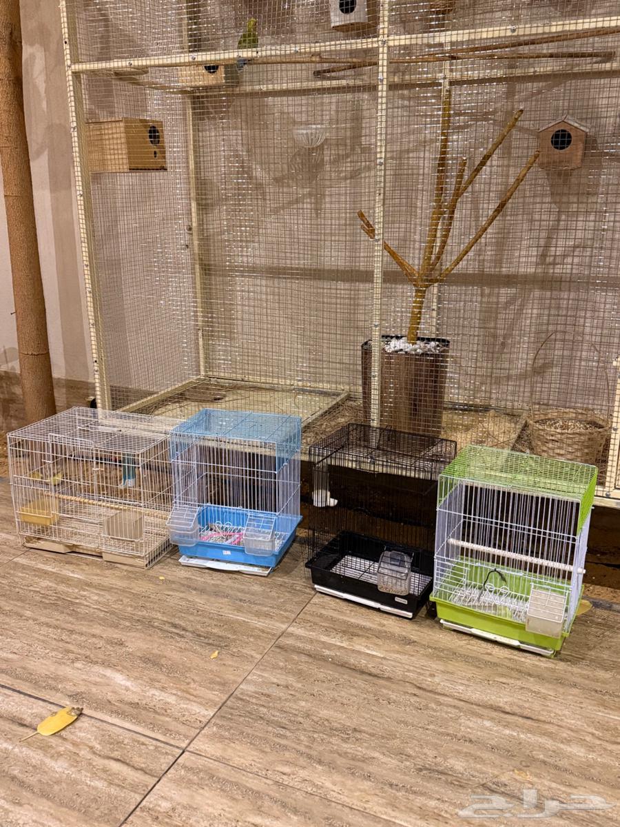 اقفاص للبيع64411473682819113