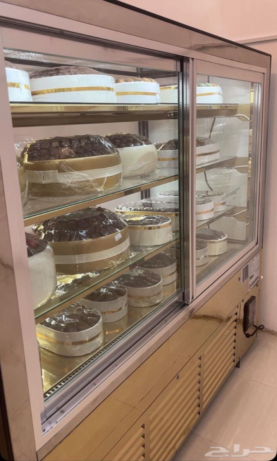 وادي عمود64410144166786110