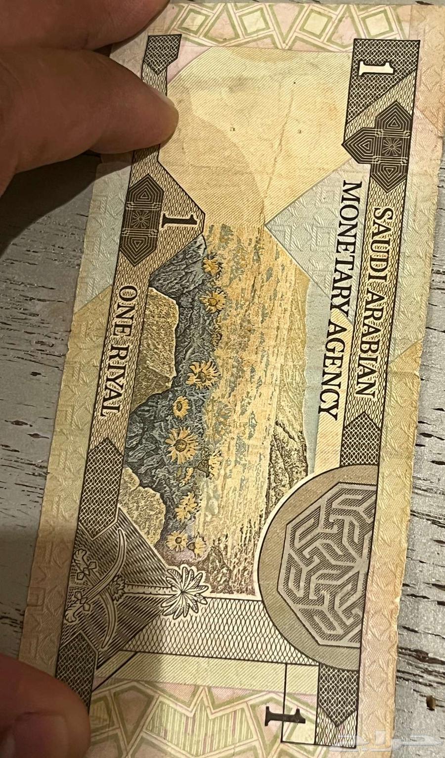 Old Riyal64409962628609111