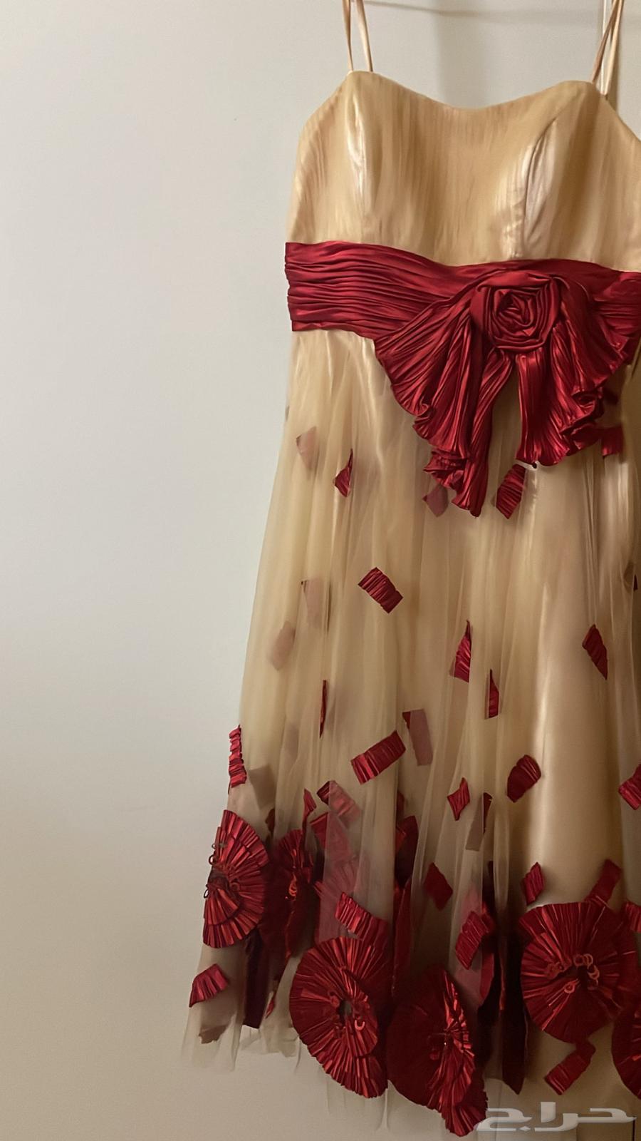 فستان انيق للبيع استخدام مره وحده64405750255875110