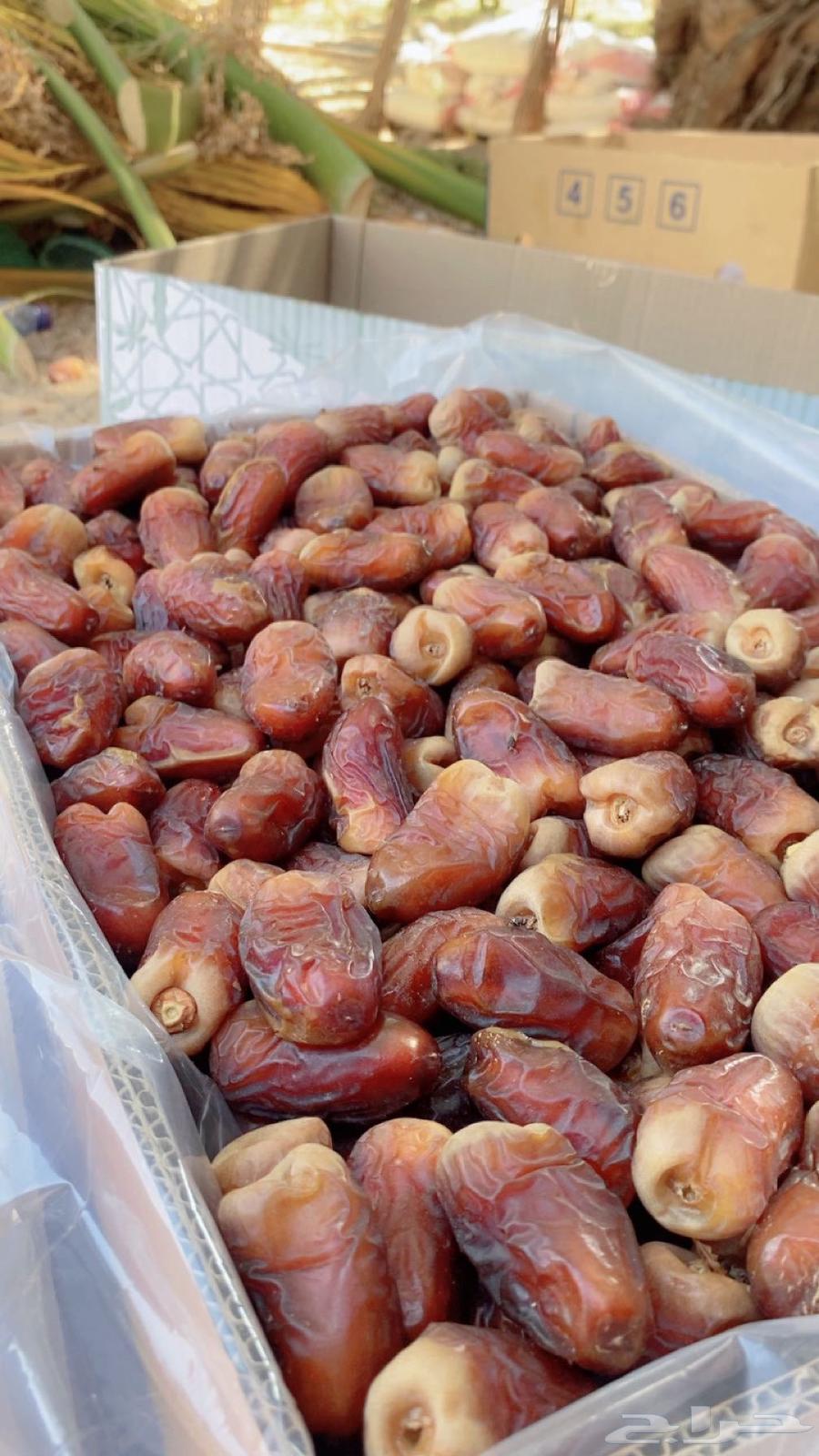 برني العيص الفاخر64407154323714110