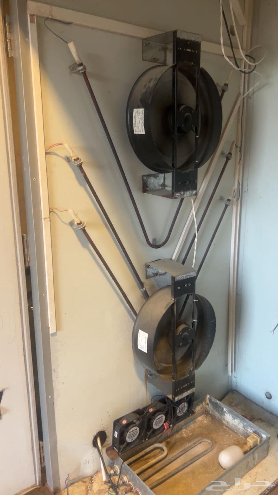 High-quality incubator, conditionally operational64410073851906114