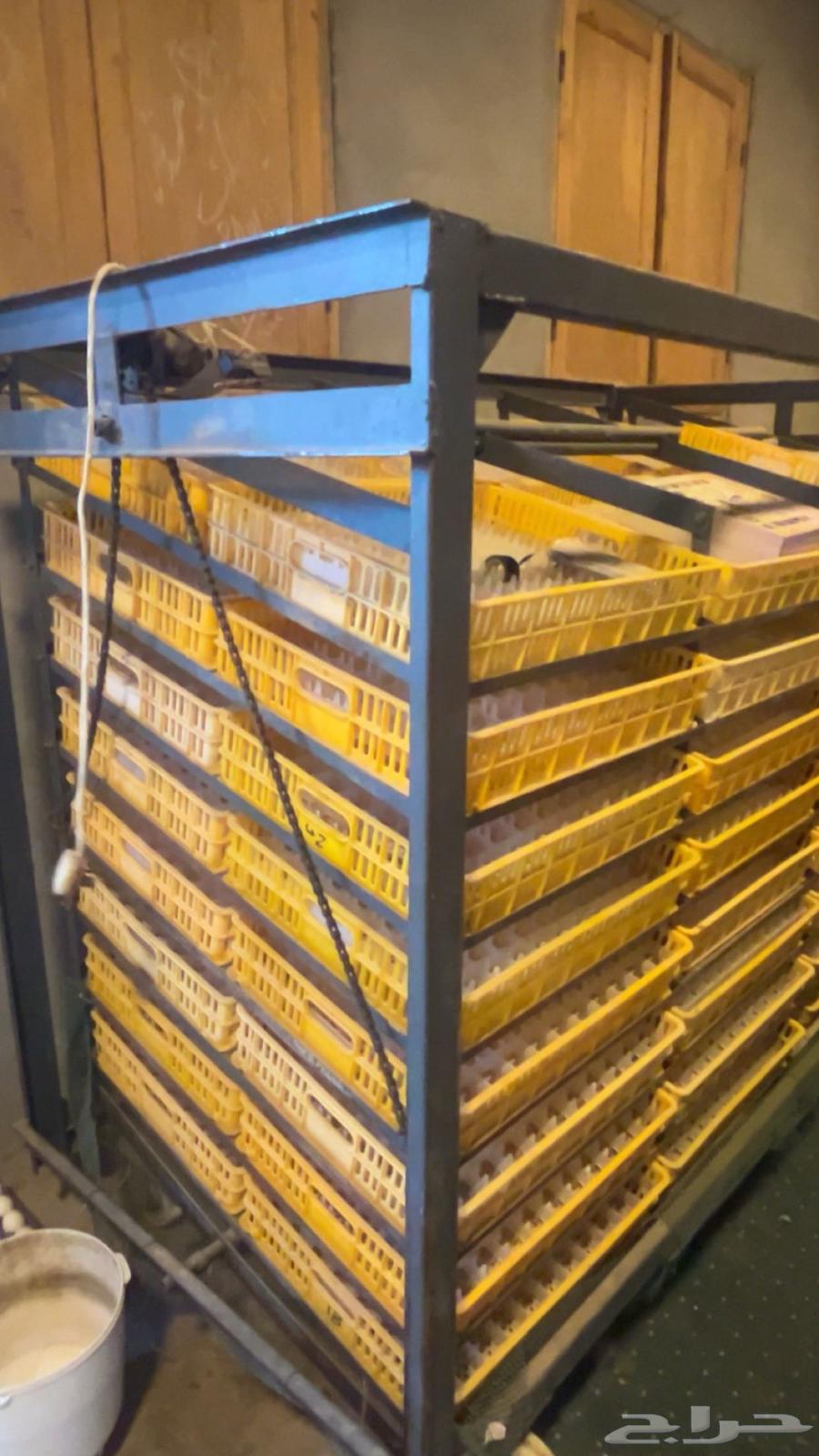 High-quality incubator, conditionally operational64410073851906113