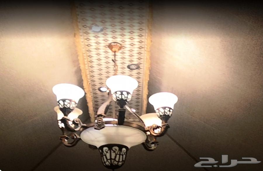 للبيع خيمة ملكية64408892200707113