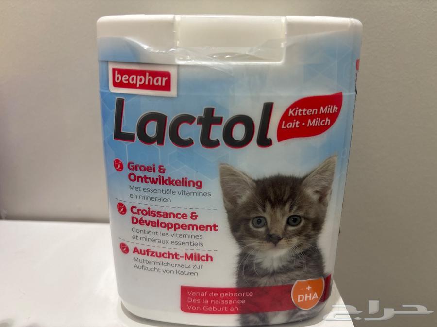 حليب قطط للبيع بيفار لاكتول بديل الحليب للقطط الصغيرة500جم64407043458817110
