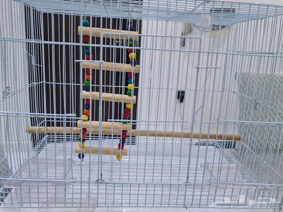 قفص طيور 40 ريال64409740941826111