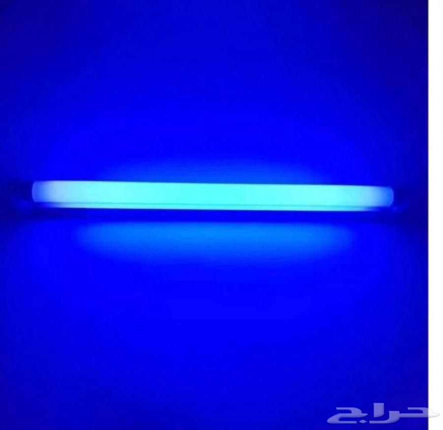 للبيع لمبة الصفار للمواليد64407741499906110