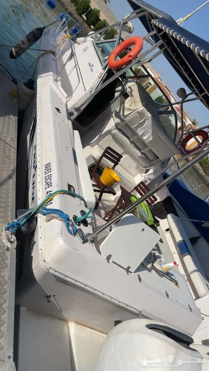 للبيع قارب بوت نزهه ورحلات برولاين64414833100673111