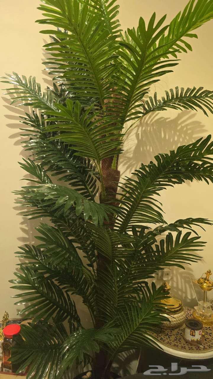 Furniture including TV stand, tree, and cabinet64418417525249112