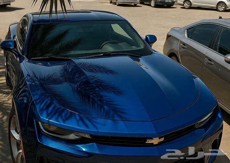 رش لمعه وكالة فرن سمكره بويه دهان رش جنوط رش مطفي64572691662977110