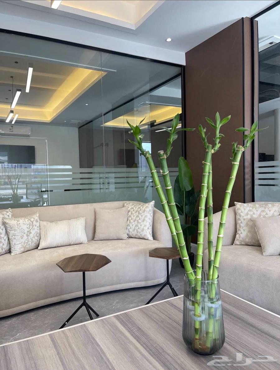 عمارة للإيجار