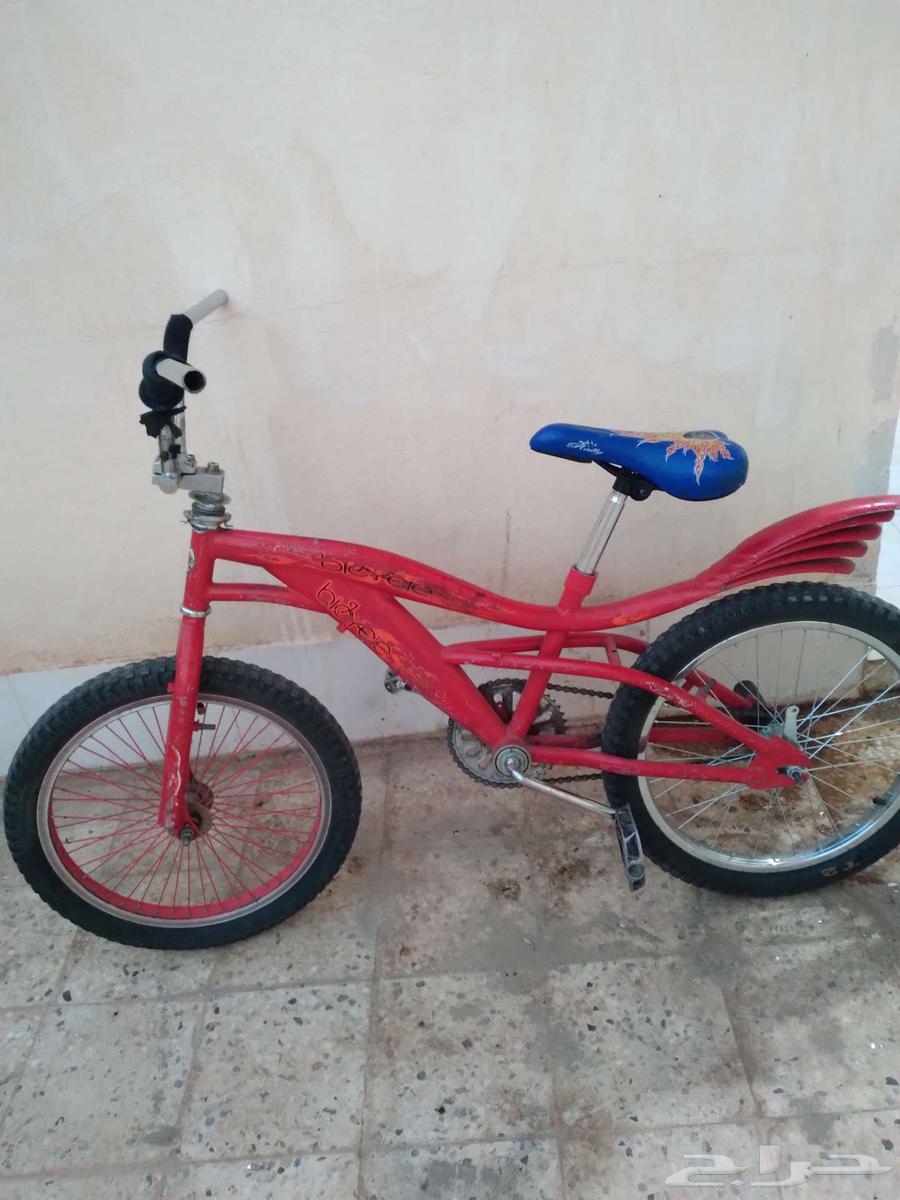 سيكل كوبرا بحالة ممتازة جدا للبيغ مقاس 2064413274141442110