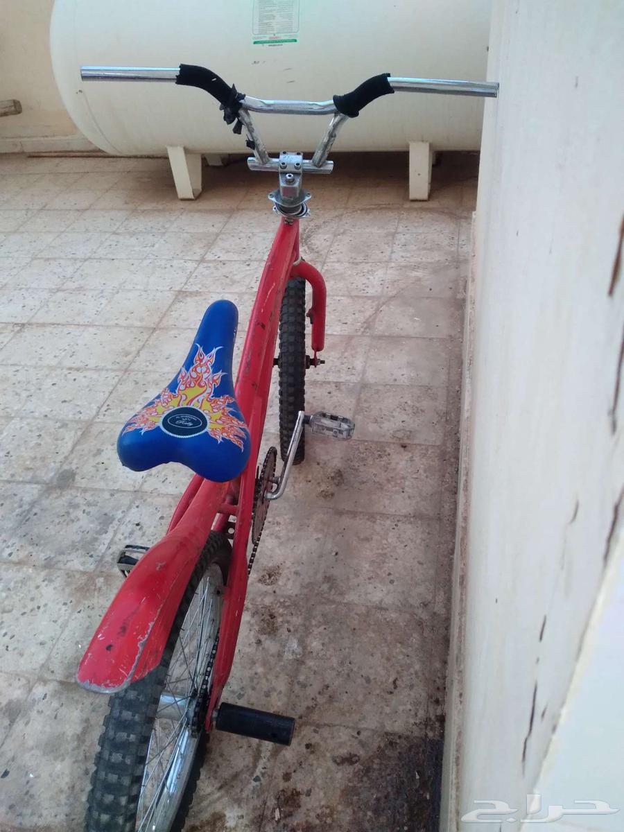 سيكل كوبرا بحالة ممتازة جدا للبيغ مقاس 2064413274141442111