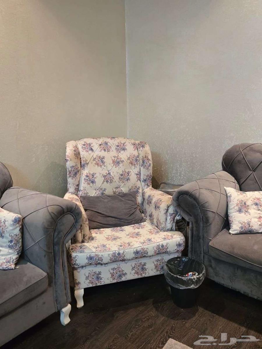 مجلس ديوان64413652743937112