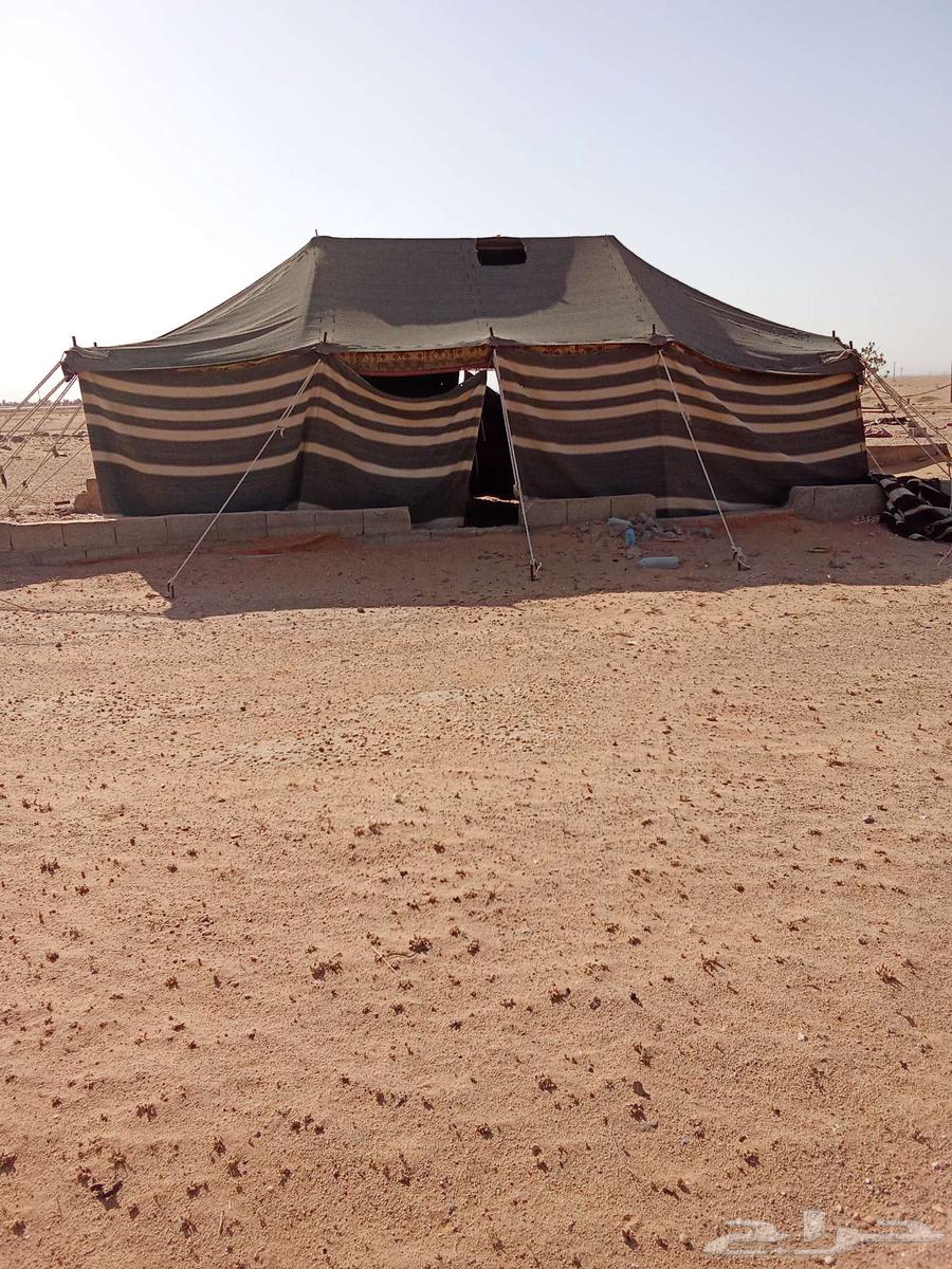 بيت شعر جملون للبيع64413772133505110