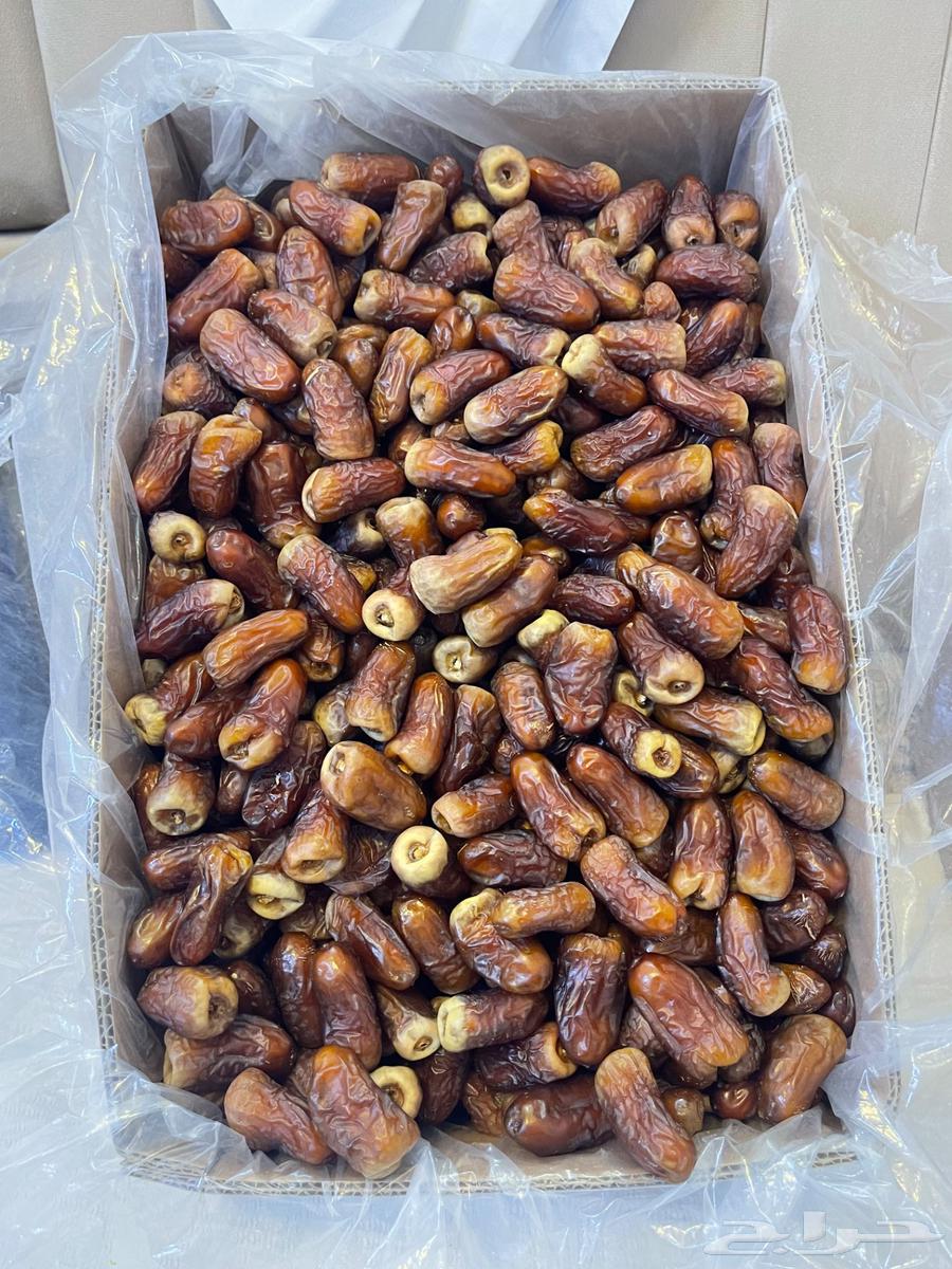 برني العيص درجة اولى64414620091267110