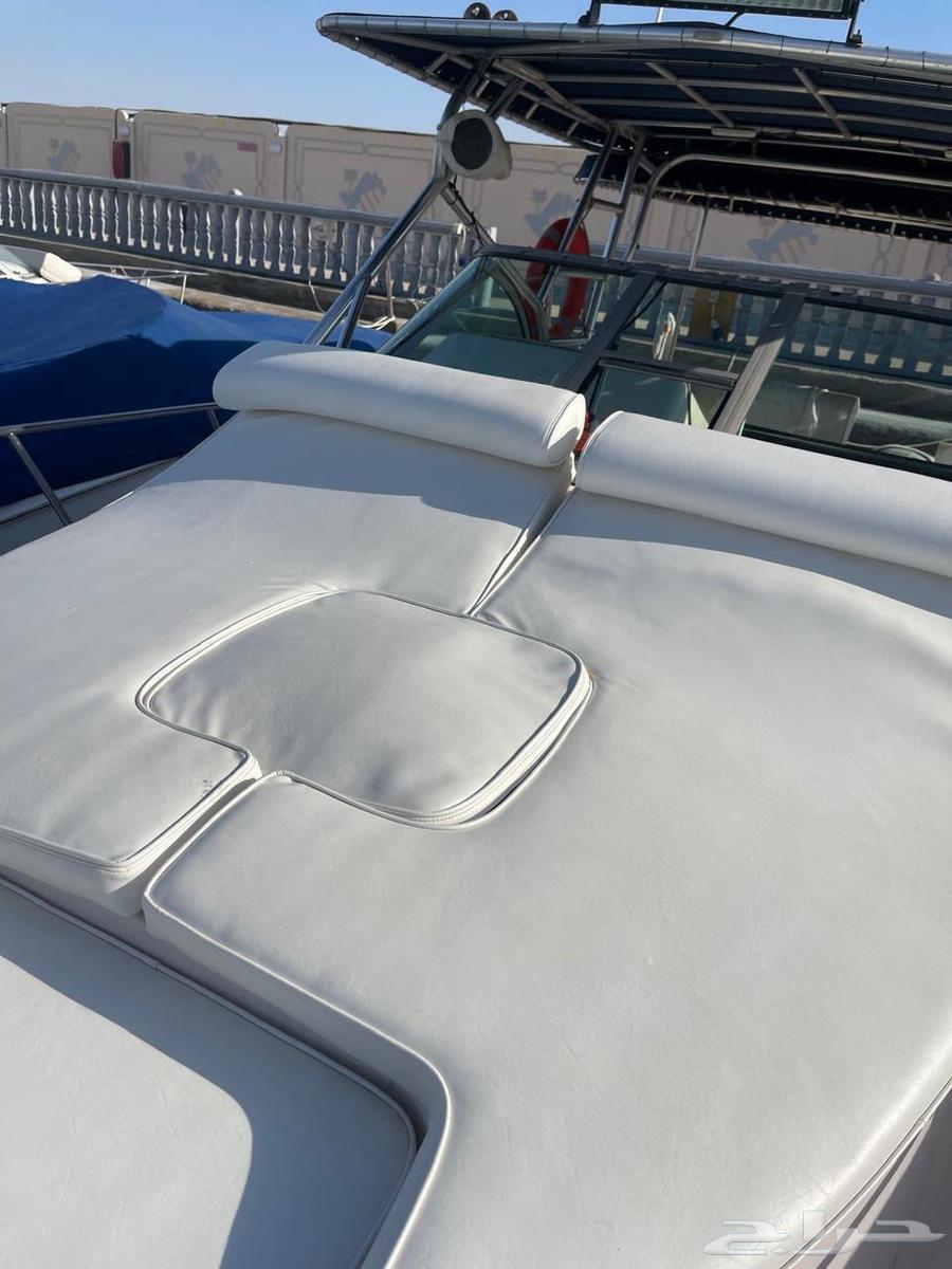 للبيع قارب بوت نزهه ورحلات برولاين64414833100673114