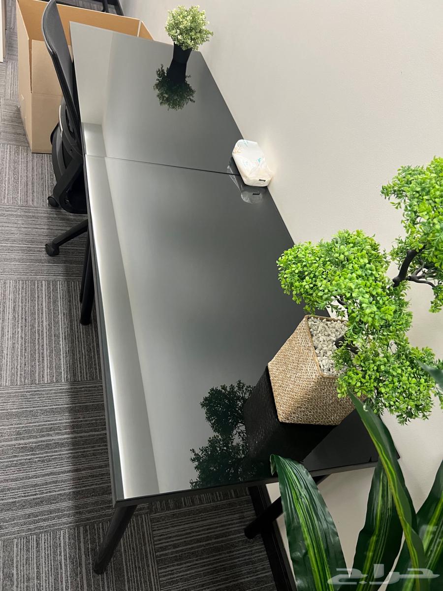 نباتات صناعية للزينة لمسة جمالية للمكاتب والبيوت64414900016258111