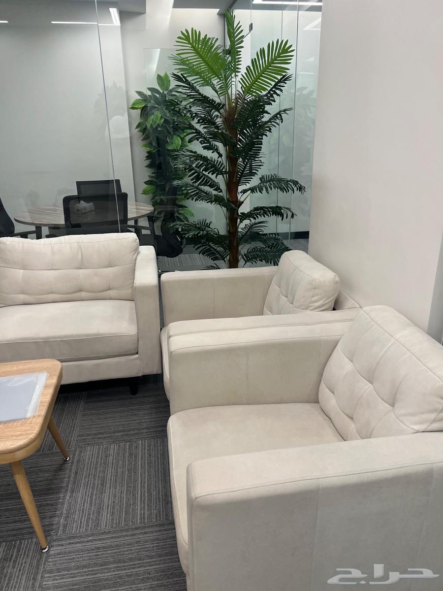 نباتات صناعية للزينة لمسة جمالية للمكاتب والبيوت64414900016258112