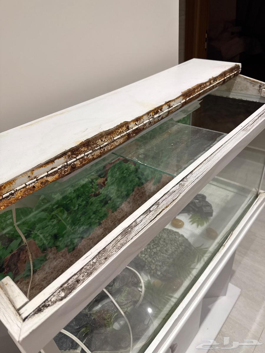 حوض سمك خشب لون ابيض وزجاج64416571193091111
