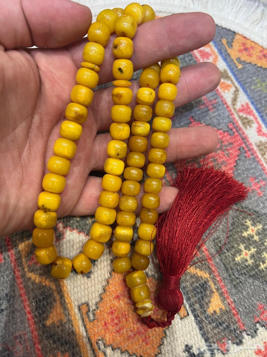 كهرمان بولندي64417644881538112