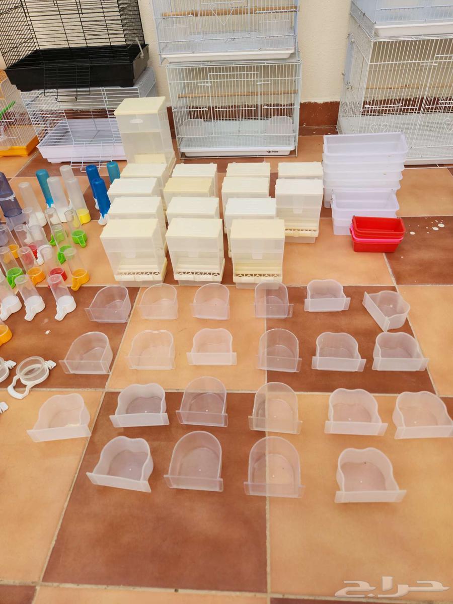 أقفاص ومستلزمات طيور مستعملة بنصف السعر فقط64418566986883112