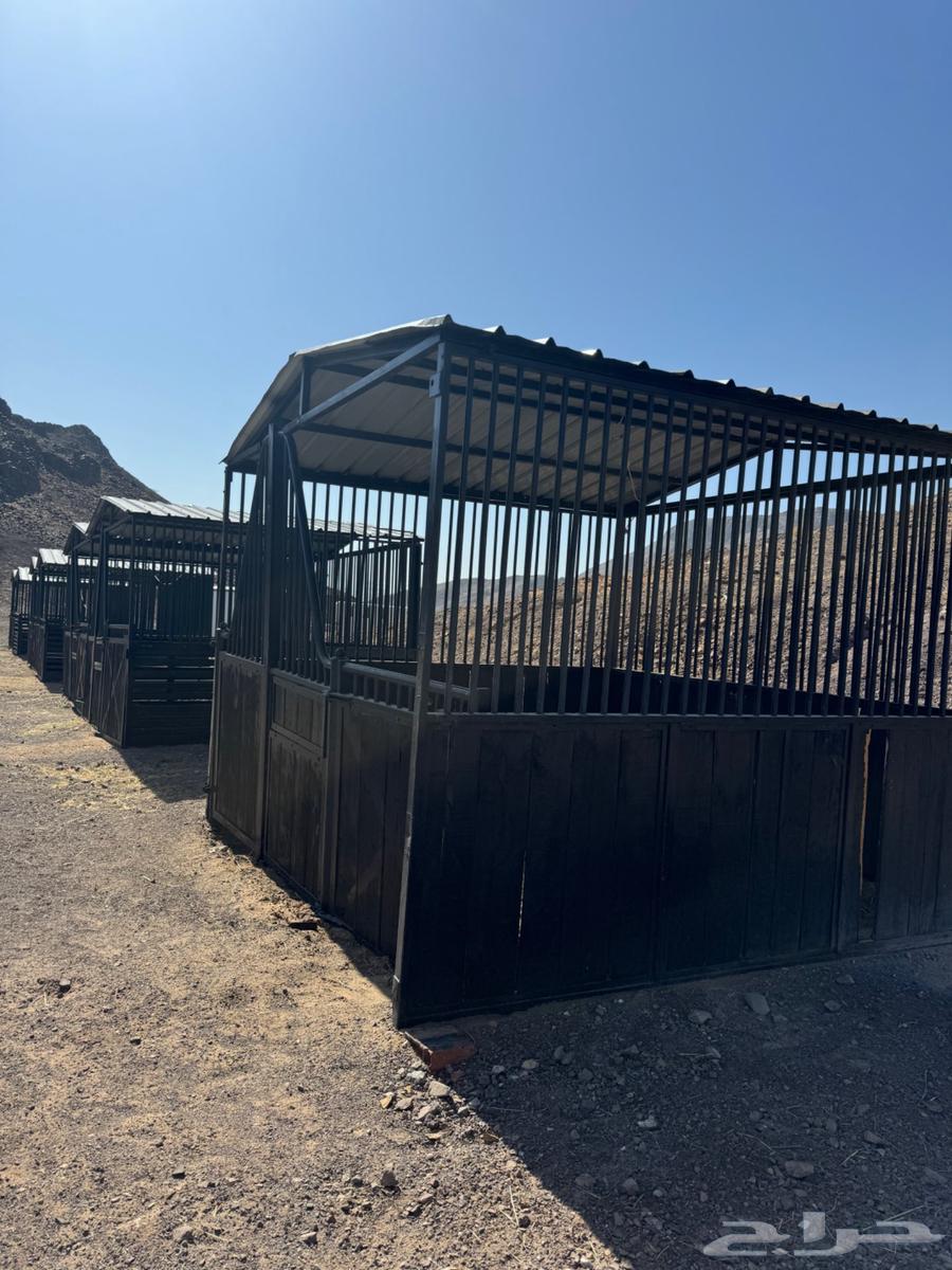 بايكات خيل للبيع غرف خيل64419398950785110