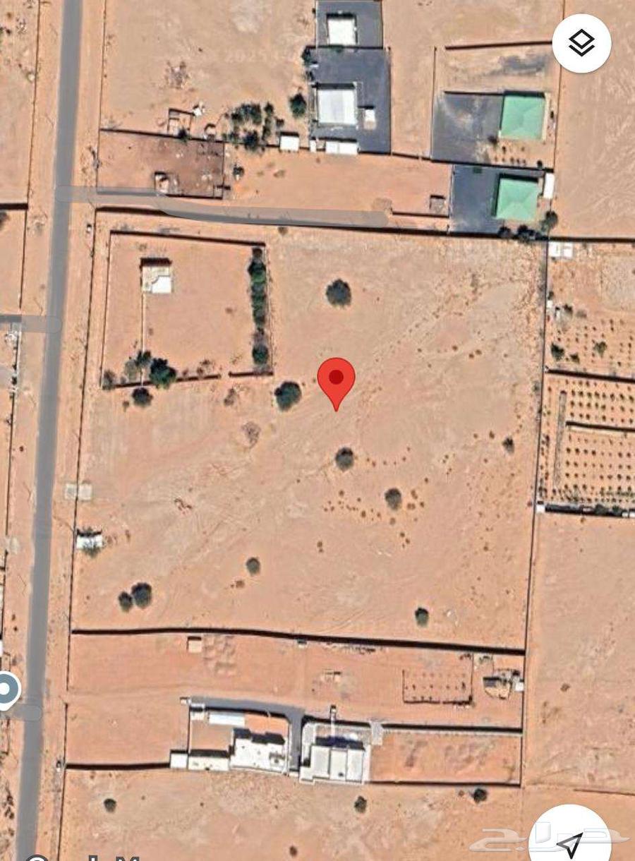 Najran - Al Sharifah North - Farm64141831330433111