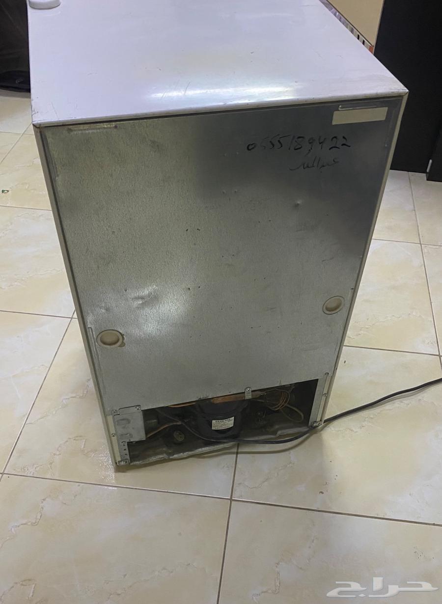 المدينة المنورة64417712274178113