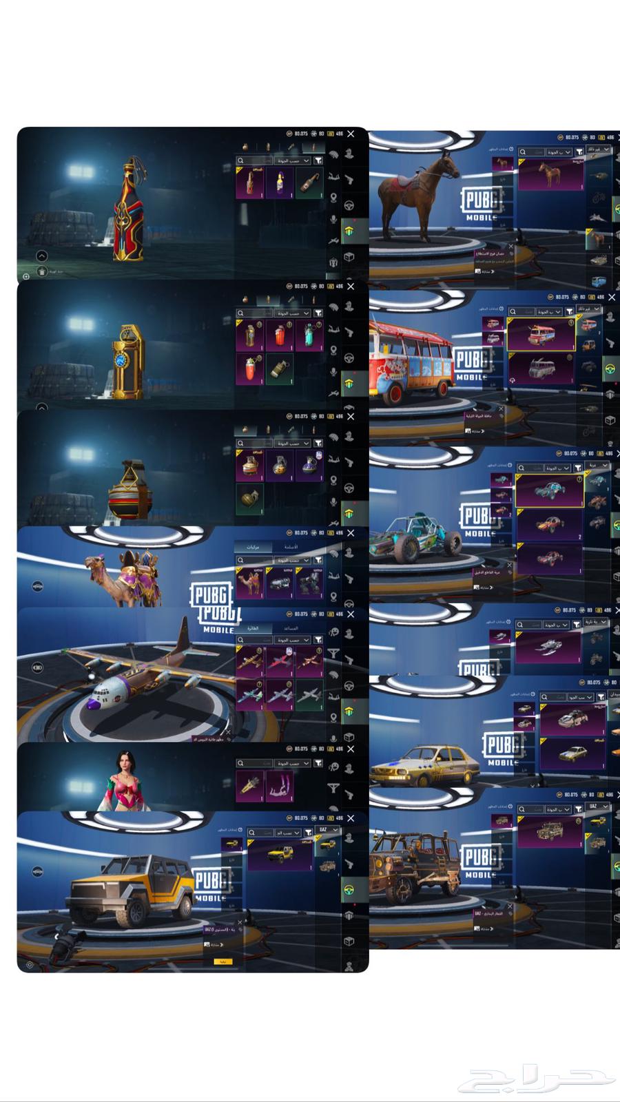 حساب ببجي للبيع64414329031042112