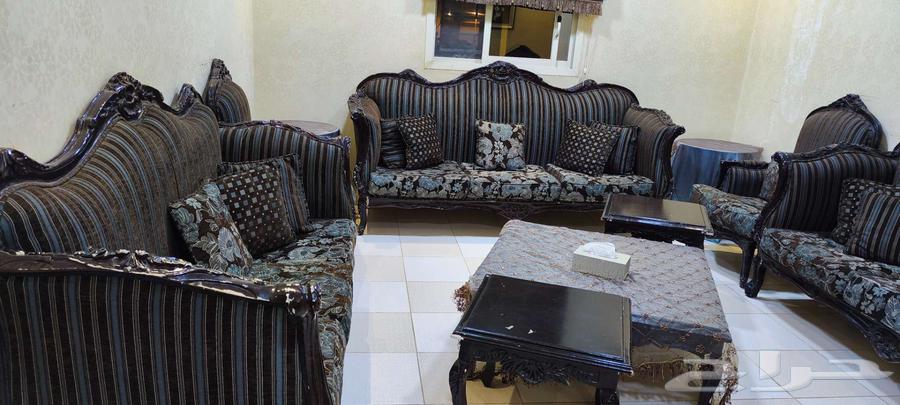 الخرج-الخزامى64417644905089110