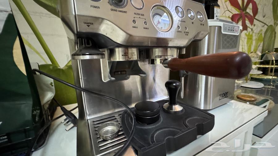 بريفل - سيج -120064414819633155112