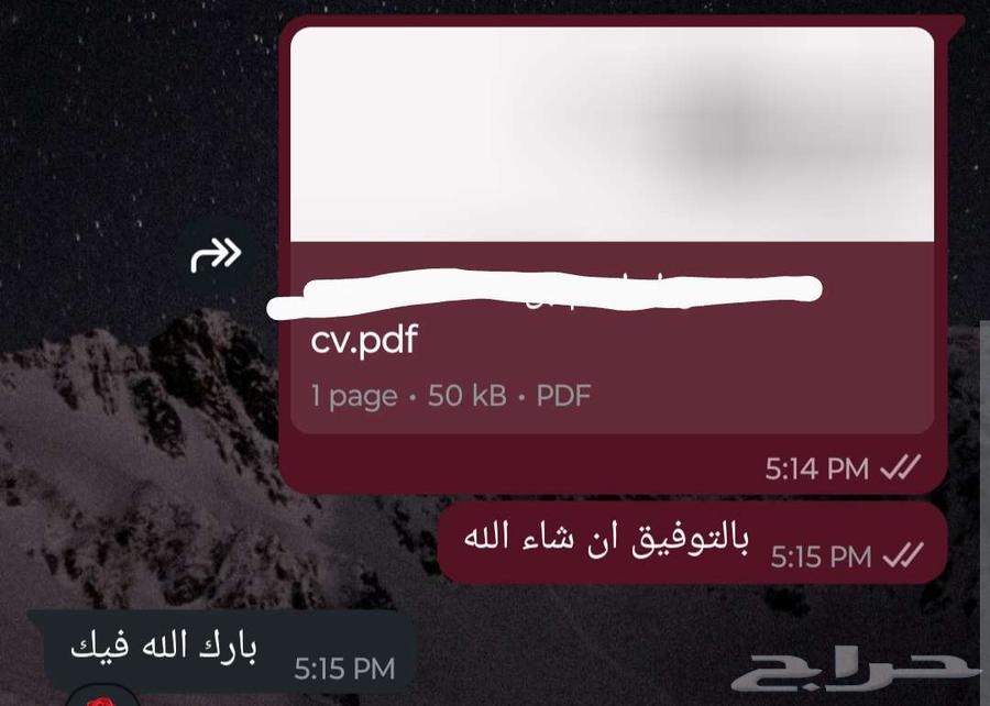 ATS-Compatible Resume (CV) at a Symbolic Price64415478023426114