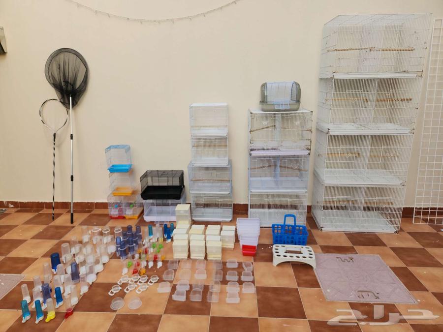 أقفاص ومستلزمات طيور مستعملة بنصف السعر فقط64418566986883114