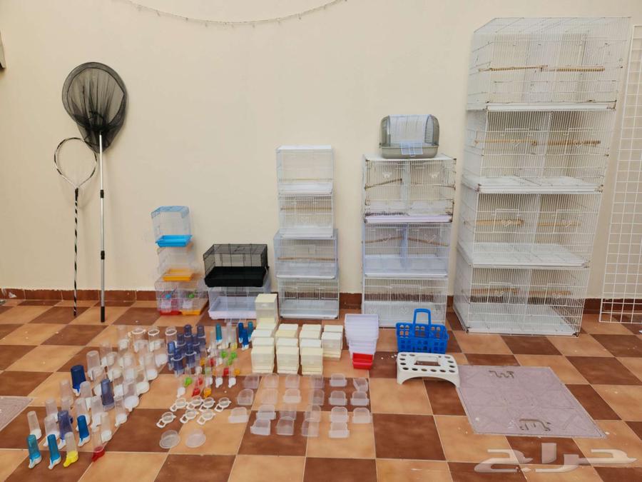 أقفاص ومستلزمات طيور مستعملة بنصف السعر فقط64418566986883110