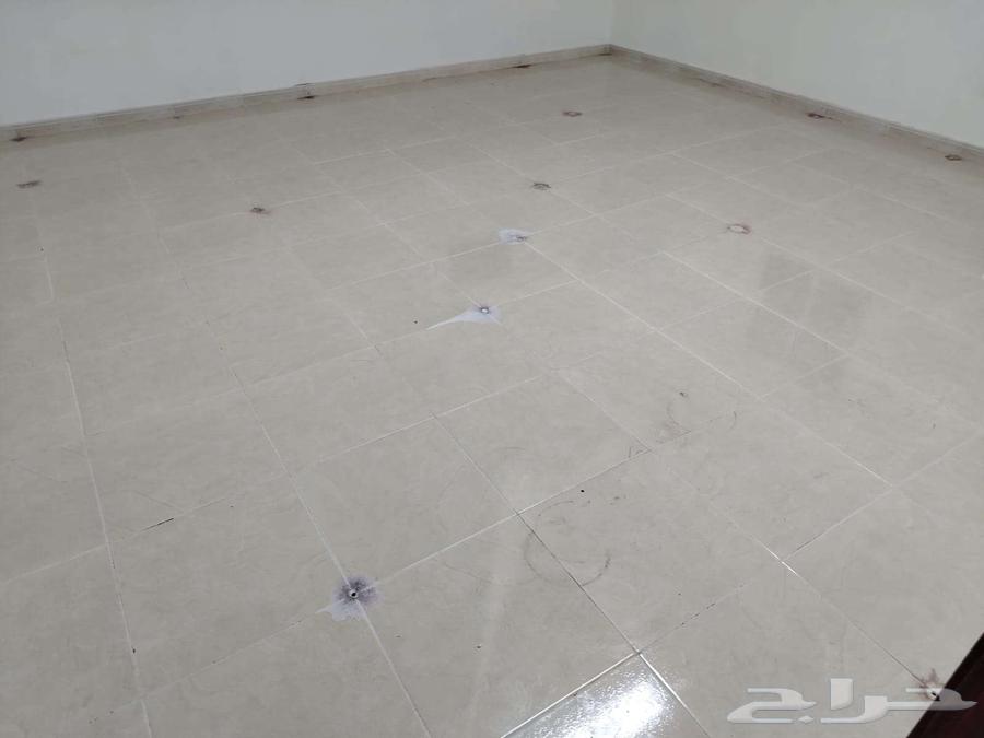 Pest Control in Mecca, Pest Control Company in Mecca64142603870083113