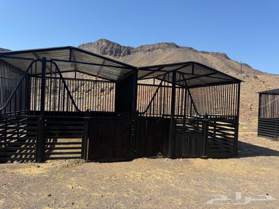 بايكات خيل للبيع غرف خيل64419398950785111