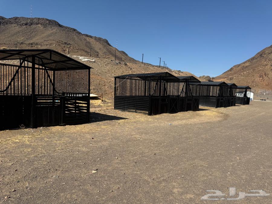 بايكات خيل للبيع غرف خيل64419398950785114