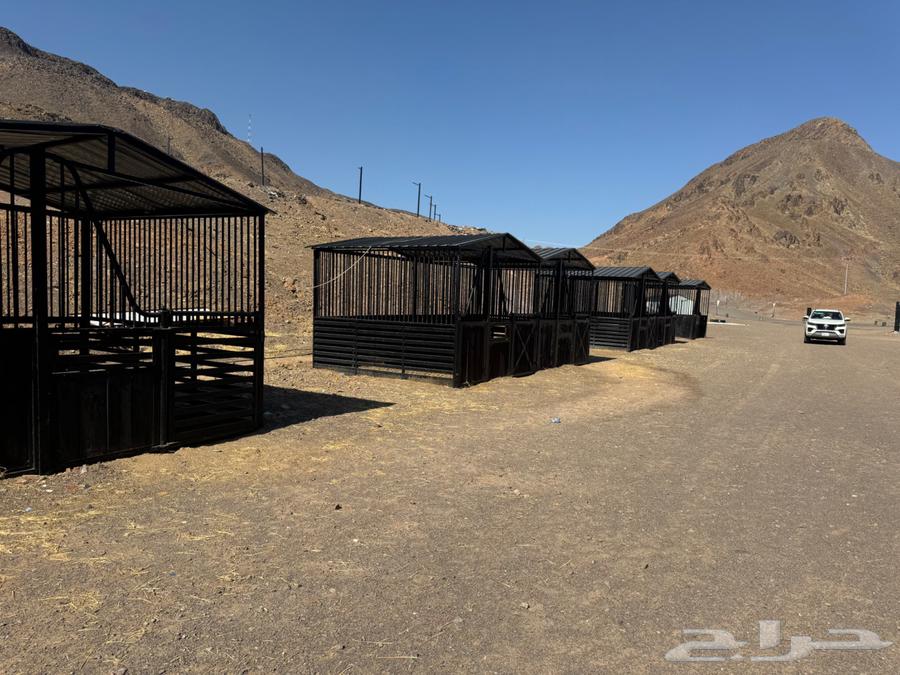 بايكات خيل للبيع غرف خيل64419398950785112